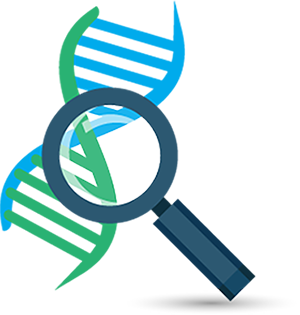 Funzione di DNA Scan