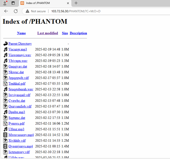 Snake Keylogger: directory di distribuzione del malware criptato